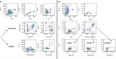 Early monocyte response following local ablation in hepatocellular carcinoma